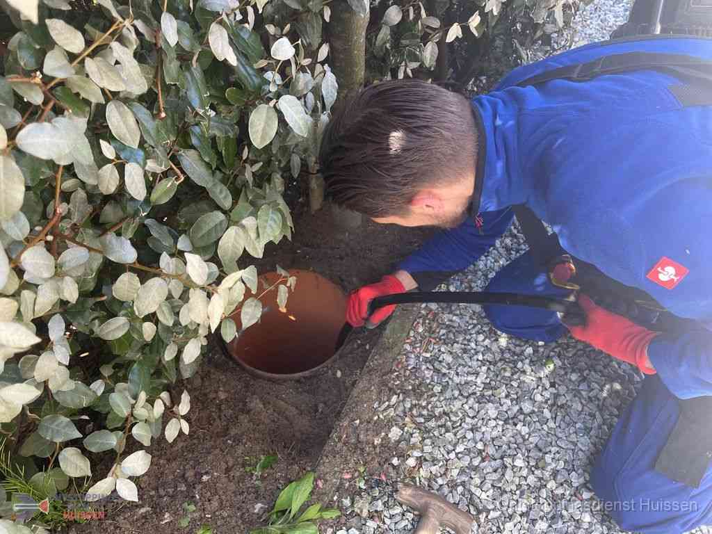 Rioolvliegjes Huissen Rioolvliegjes Huissen